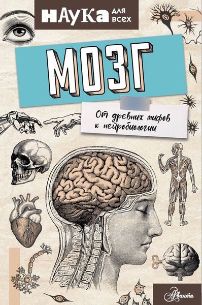 Обложка книги  «Мозг. От древних мифов к нейробиологии»