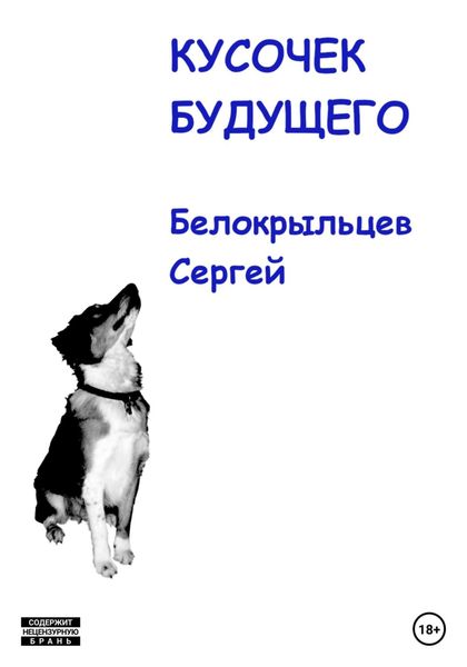 Обложка книги  «Кусочек будущего»