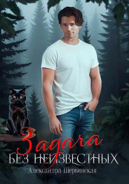 Обложка книги  «Задача без неизвестных»