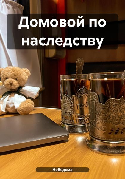 Обложка книги  «Домовой по наследству»