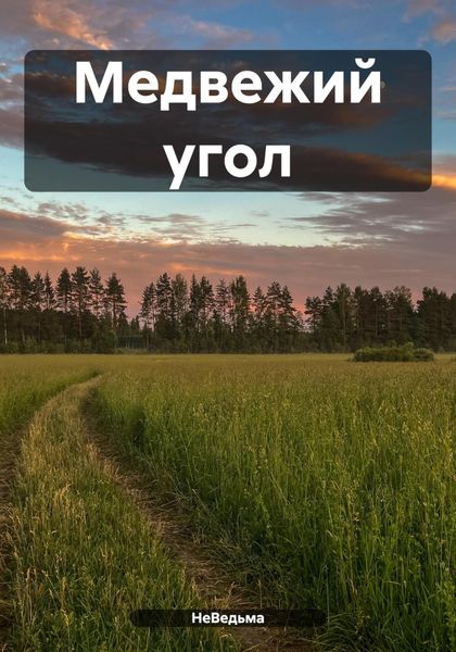 Обложка книги «Медвежий угол»