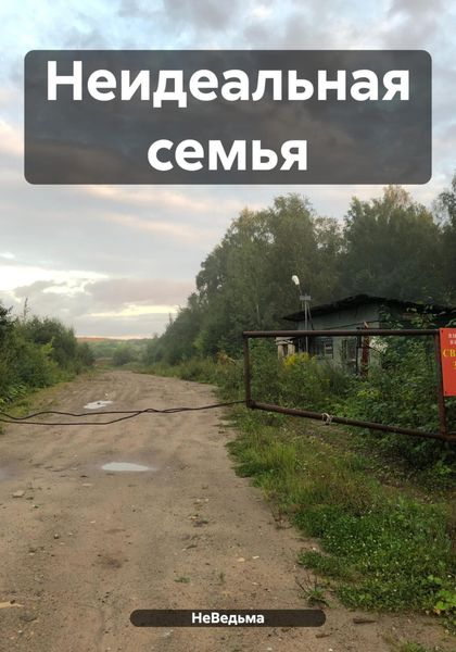 Обложка книги  «Неидеальная семья»