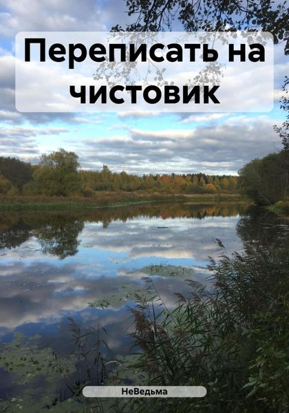 Обложка книги  «Переписать на чистовик»