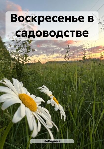 Обложка книги «Воскресенье в садоводстве»