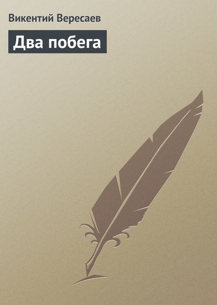 Обложка книги  «Два побега»