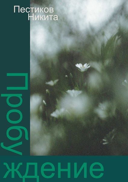 Обложка книги «Пробуждение»