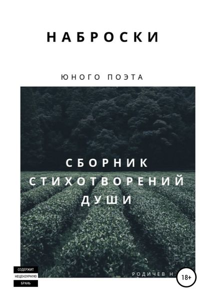 Обложка книги  «Наброски юного поэта, или Сборник стихотворений души»