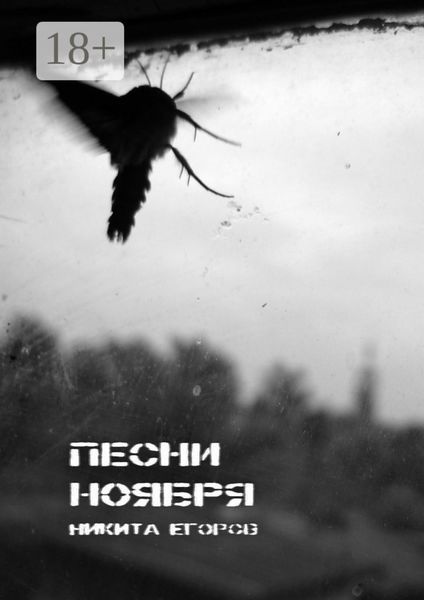 Обложка книги «Песни ноября»