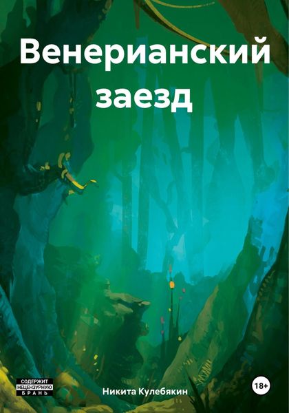 Обложка книги «Венерианский заезд»