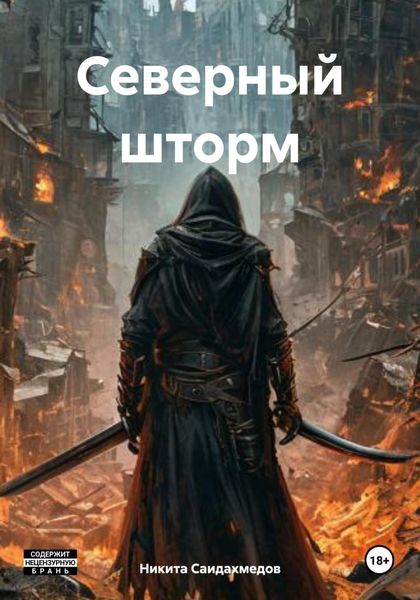 Обложка книги  «Северный шторм»