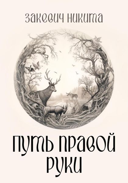 Обложка книги «Путь правой руки»