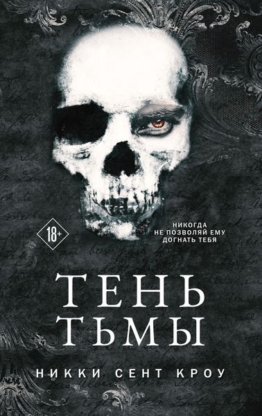 Обложка книги «Тень Тьмы»
