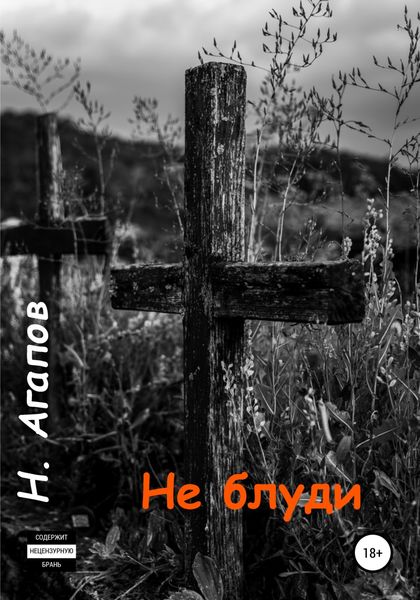 Обложка книги  «Не блуди»
