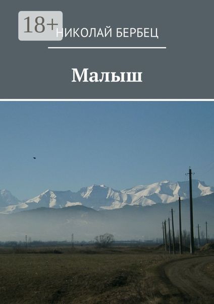Обложка книги  «Малыш»
