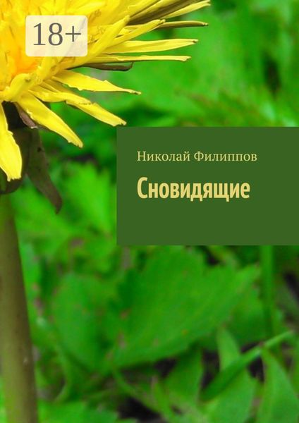 Обложка книги «Сновидящие»