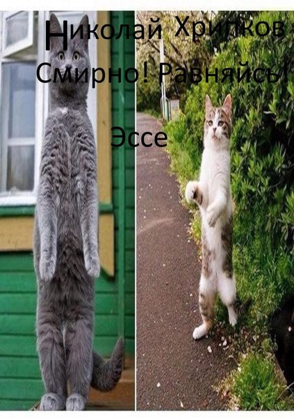 Обложка книги  «СМИРНО! Равняйсь! ЭССЕ»