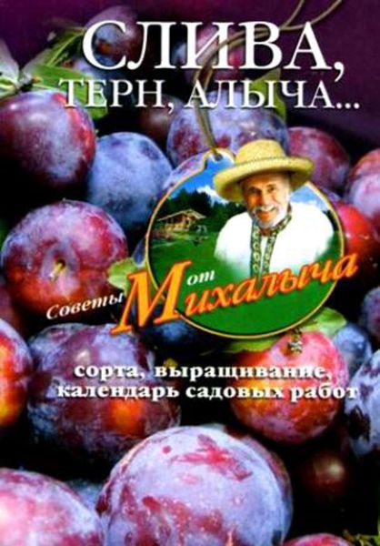Обложка книги  «Слива, терн, алыча… Сорта, выращивание, календарь садовых работ»