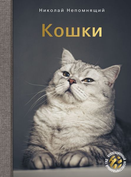 Обложка книги  «Кошки»