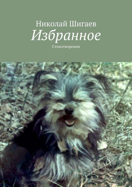 Обложка книги «Избранное. Стихотворения»