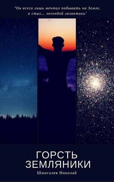 Обложка книги  «Горсть земляники»