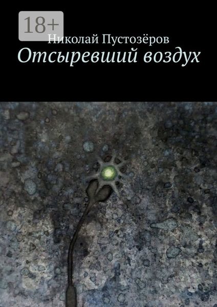 Обложка книги «Отсыревший воздух»