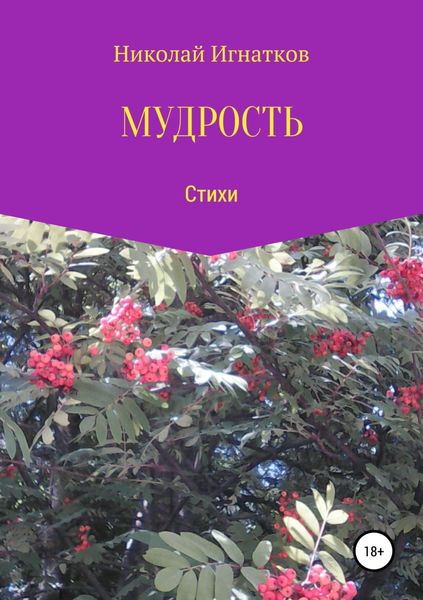 Обложка книги  «Мудрость. Сборник стихотворений»