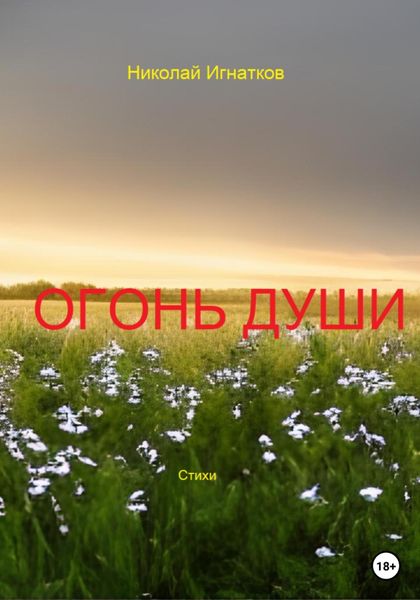 Обложка книги  «Огонь души»