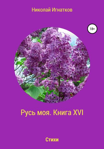 Обложка книги  «Русь моя. Книга 16»