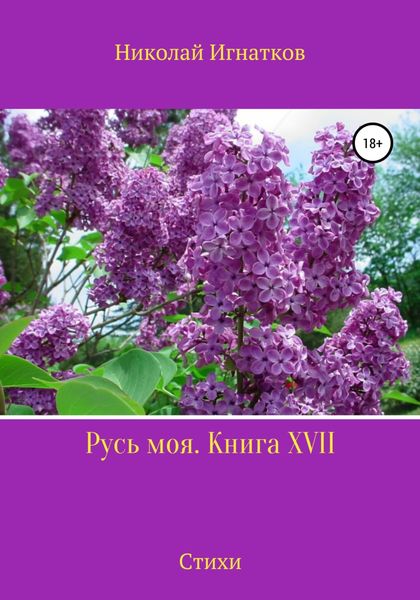 Обложка книги  «Русь моя. Книга 17»
