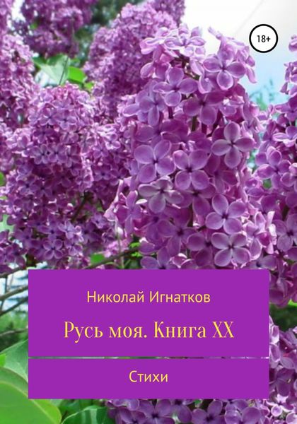 Обложка книги  «Русь моя. Книга 20»