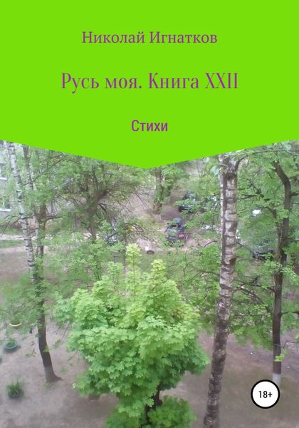 Обложка книги  «Русь моя. Книга XXII»
