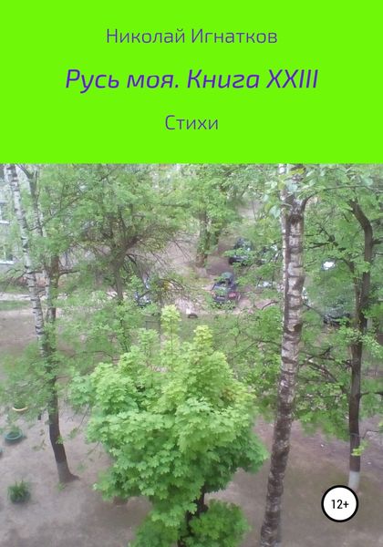 Обложка книги  «Русь моя. Книга XXIII»