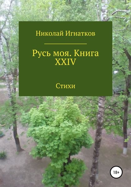 Обложка книги  «Русь моя. Книга XXIV»