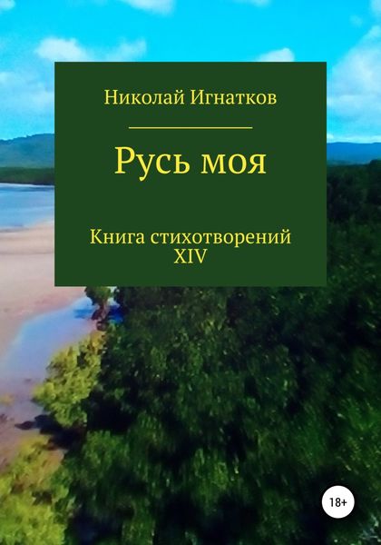 Обложка книги  «Русь моя. Книга XIV»