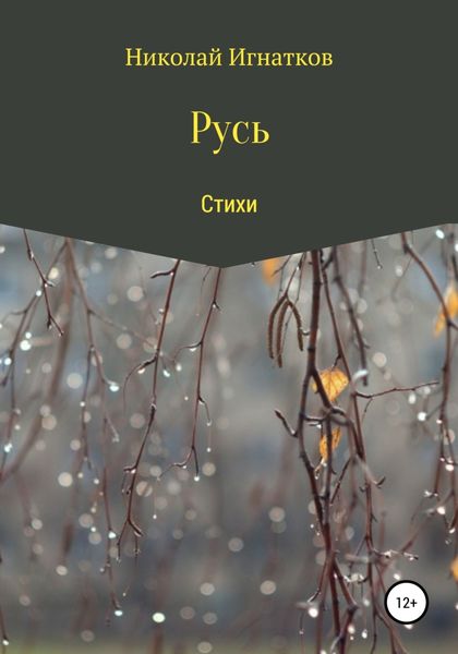 Обложка книги «Русь. Сборник стихов»