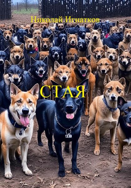 Обложка книги «Стая»