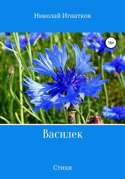 Обложка книги «Василек. Сборник стихов»