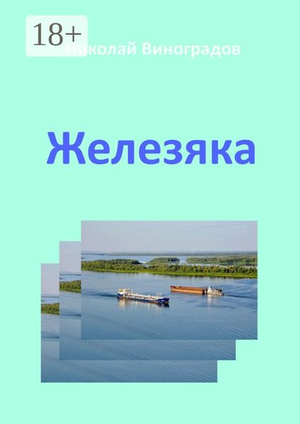 Обложка книги  «Железяка»