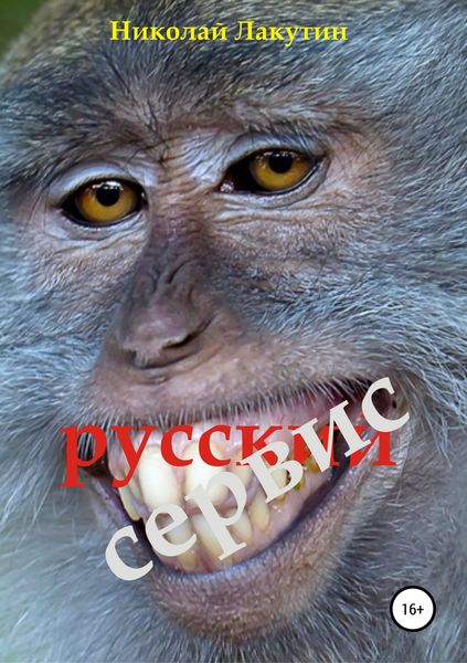 Обложка книги  «Русский сервис»