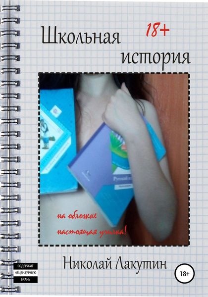 Обложка книги  «Школьная история»