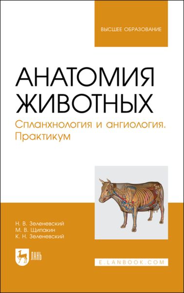 Обложка книги  «Анатомия животных. Спланхнология и ангиология. Практикум. Учебное пособие для вузов»