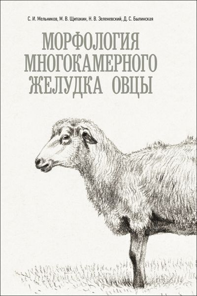 Обложка книги  «Морфология многокамерного желудка овцы»