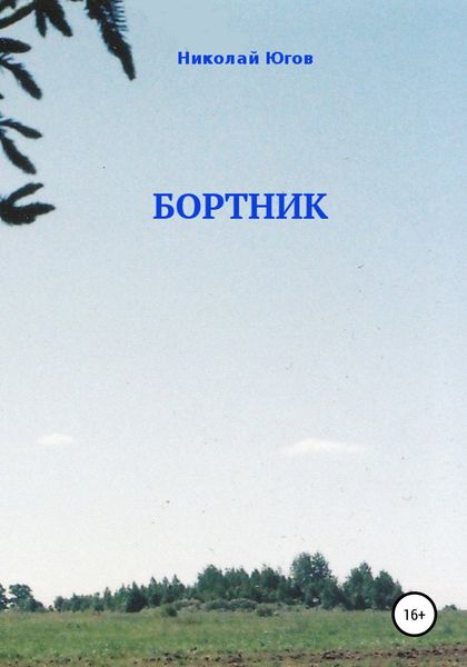 Обложка книги  «Бортник»