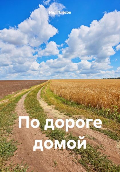 Обложка книги «По дороге домой»