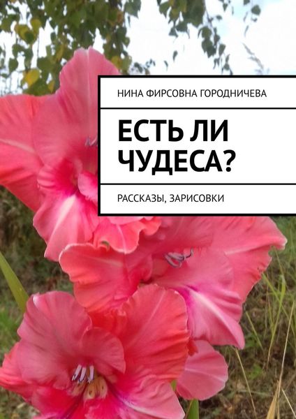 Обложка книги «Есть ли чудеса? Рассказы, зарисовки»