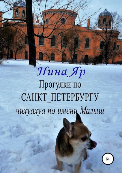 Обложка книги «Прогулки по Санкт-Петербургу»