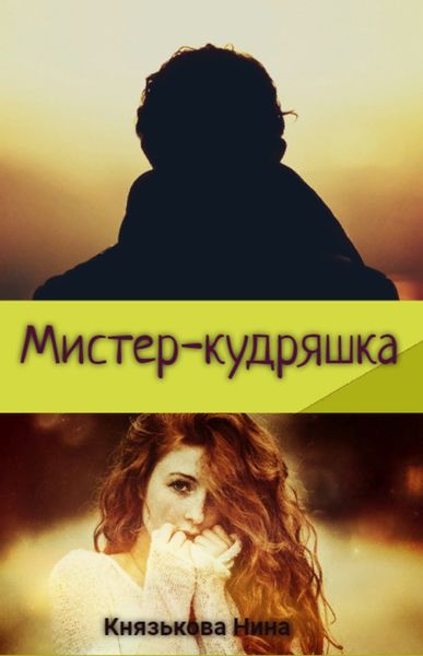 Обложка книги «Мистер-кудряшка»