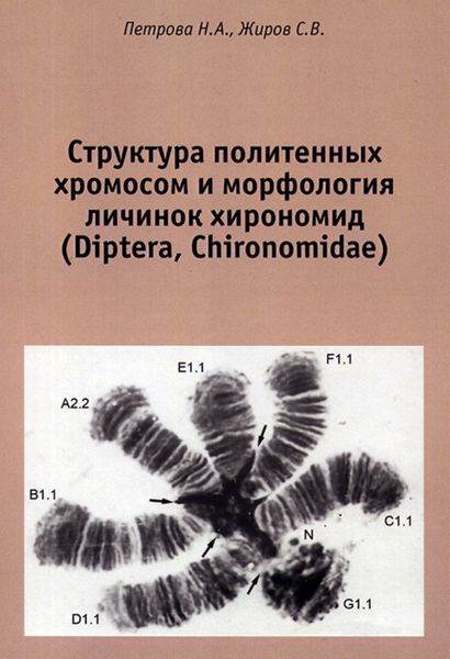 Обложка книги «Структура политенных хромосом и морфология личинок хирономид (Diptera, Chironomidae). Атлас»