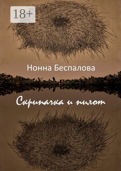Обложка книги  «Скрипачка и Пилот, или На двух берегах»