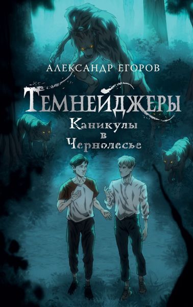 Обложка книги  «Темнейджеры. Каникулы в Чернолесье»
